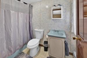 a bathroom with a toilet and a sink at 1-Bedroom, 1-Bath Getaway in Carbondale