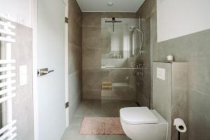 a bathroom with a shower with a toilet and a sink at Ferienwohnung-Cleo in Mirow +47 photos