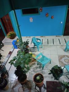 a patio with blue chairs and potted plants at Hotel Trianon in San José