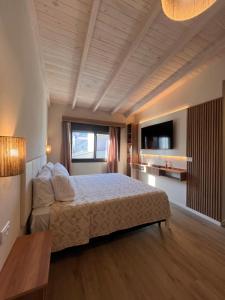 a large bedroom with a bed and a television at Monteolivos Home & Suites in El Rincón +34 photos