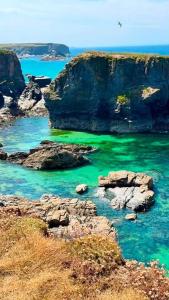 a group of rocks in a body of water at Rose Cottage room bee happy in Newquay