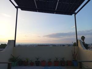 a view from the roof of a house with plants at Amueblados Casa Conchita in León
