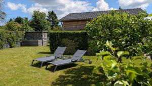 two chairs sitting in the grass in a yard at Ferienwohnung-Am-Ufer-an-der-Mueritz in Rechlin