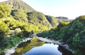 a view of a river with trees and a mountain at Glamping en Tente Yourte in Ispagnac