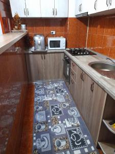 a kitchen with a sink and a kitchen rug at Cabana Dory și Dan in Arieşeni +13 photos