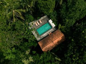 an overhead view of a swimming pool in a forest at Umah Temuku Ubud in Ubud