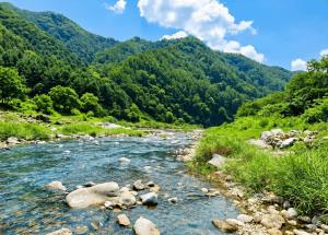 a river with rocks and trees in the background at Gapyeong Yunseul Pension in Chuktul-li