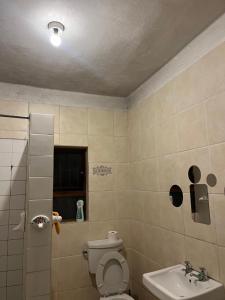 a bathroom with a toilet and a sink at Willow whispers in Gqeberha