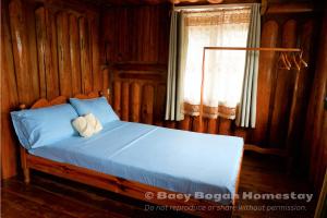 a bedroom with a bed with blue sheets and a window at Baey Bōgan Homestay in Sagada