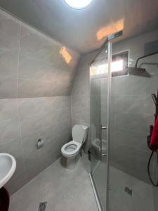 a bathroom with a toilet and a shower and a sink at Cottages in Kobuleti
