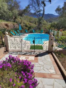 a pool with a gate with purple flowers at Small chalet in Serriera