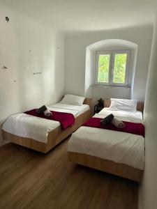 two twin beds in a room with a window at Apartments Nina in Koper