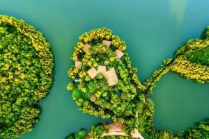 an overhead view of an island with trees and houses at An Binh Village in Yên Bình +37 photos