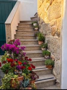 a set of stairs with potted plants on them at Casa Evita in Sanxenxo