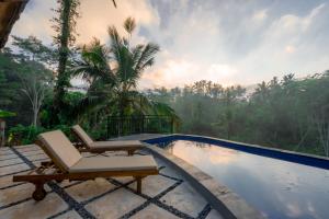 a resort pool with chairs and a view of the jungle at The Grembeng in Undisan