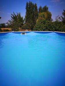 a large blue swimming pool with trees in the background at Blue Banane in Monflanquin