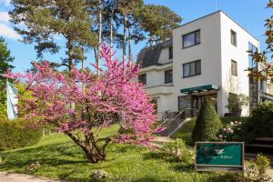 a tree with pink flowers in front of a building at Seminarhotel Springer Schlössl in Vienna
