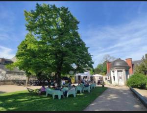 a group of people sitting at tables under a tree at Quiniere - 25 m2 indépendant avec piscine - Wifi in Blois