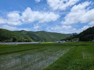 a large green field with mountains in the background at EkimaehouseSamaru in Shimanto-cho
