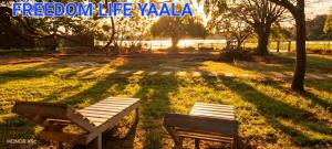 two benches sitting in the grass in a park at Freedom Life Yala in Tissamaharama