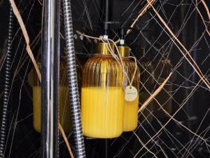a yellow lantern hanging from a spider web at Cantinho da Muralha in Melgaço +32 photos