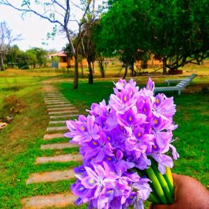 a person holding a bouquet of purple flowers at Freedom Life Yala in Tissamaharama