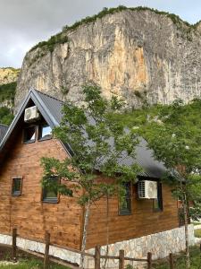 a wooden house with a mountain in the background at Komarnica Forest Owl 3 in Šavnik