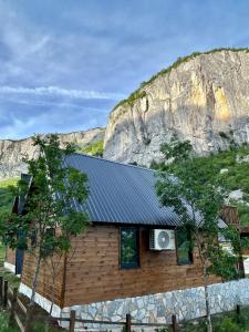 a wooden house with a mountain in the background at Komarnica Forest Owl 3 in Šavnik