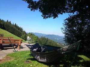 Paesaggio naturale nelle vicinanze dell'agriturismo