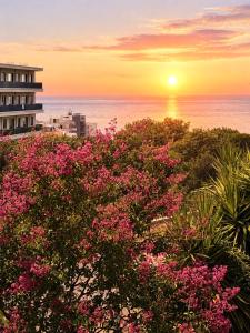 a sunset over the ocean with pink flowers at Villa Radis in Dobra Voda