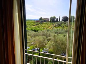 a view of a vineyard from a window in a room at Santa Caterina Park Hotel in Sarzana +12 photos