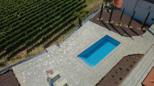 an overhead view of a swimming pool next to a vineyard at Corte CeLestiale in Albenga