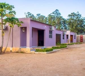 a purple house with a palm tree in front of it at Mailos Accommodation in Songo