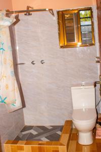 a bathroom with a toilet and a window and a shower at Mailos Accommodation in Songo