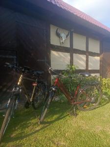 two bikes parked next to a building with a cow skull at Stara Stajnia Moszyce - Apartament w Dolinie Baryczy in Twardogóra +9 photos