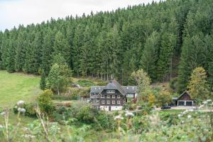 an aerial view of a house in a forest at Schwarzwald Chalet - Karlshütte in Neuweg
