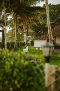 a yard with palm trees and a white building at Alleppey Backwater Resort in Alleppey