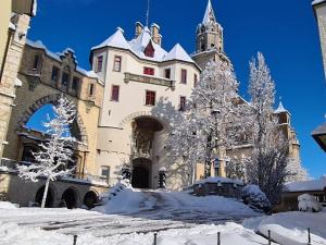 a castle covered in snow with trees in the foreground at Apartment am Schloss in Sigmaringen