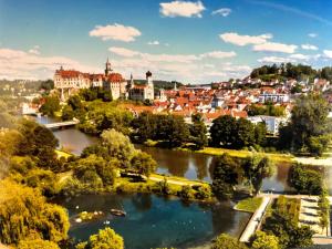 an aerial view of a town with a river and buildings at Apartment am Schloss in Sigmaringen +2 photos