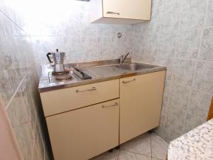 Kuchyňa alebo kuchynka v ubytovaní Apartments Evelina 1057
