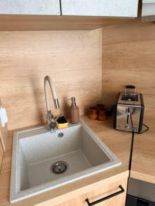 a kitchen counter with a sink and a toaster at La Ion Residence 1 in Năvodari +19 photos
