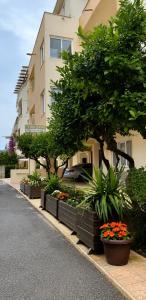 a building with trees and flowers in front of it at Apartments Lati in Ulcinj