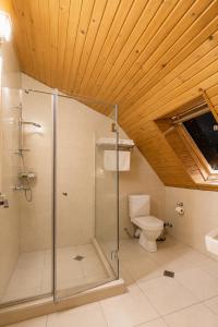 a bathroom with a shower and a toilet at Hotel Imperial House in Tbilisi City +55 photos