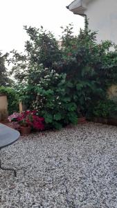 Gallery image of Casa Ortensia in Corsanico-Bargecchia