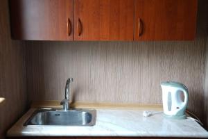 a kitchen counter with a sink and a toaster at ARTSIV Guesthouse in Dilijan