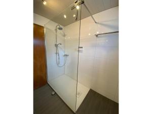a shower with glass doors in a bathroom at Ferienwohnung am Südhang in Gernsbach
