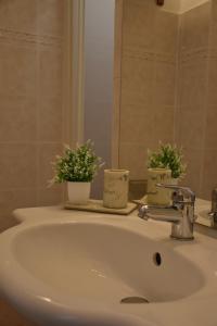 a bathroom sink with two plants on top of it at Sunny Apartment in La Spezia +17 photos