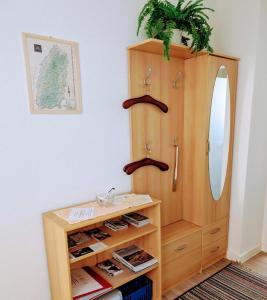 a dressing room with a mirror and a wooden cabinet at Ferienwohnung Hasenhorn in Todtnau