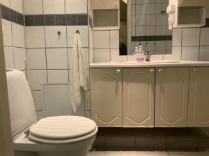 a bathroom with a toilet and a sink at Ørntua in Rekdal +3 photos
