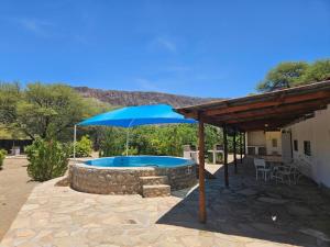a blue umbrella sitting next to a swimming pool at BKZ Self-Catering in Solitaire